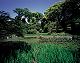 �f�ޏWJP-022.jpg