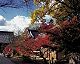 �f�ޏWJP-073.jpg