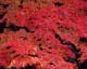 ʐ^fށ@MIXA@2/JPN01001.JPG