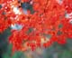ʐ^fށ@MIXA@2/JPN01003.JPG