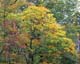ʐ^fށ@MIXA@2/JPN01043.JPG