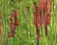 ʐ^fށ@MIXA@2/MTR02075.JPG