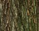 ʐ^fށ@MIXA@2/MTR02077.JPG