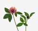 ʐ^fށ@MIXA@2/MIL07034.JPG