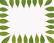 ʐ^fށ@MIXA@2/MIL10024.JPG