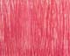ʐ^fށ@MIXA@2/MIL11029.JPG