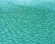 ʐ^fށ@MIXA@2/MIL14039.JPG