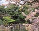 ʐ^fށ@MIXA@2/MIL16062.JPG
