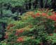 ʐ^fށ@MIXA@2/MIL20025.JPG