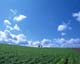 ʐ^fށ@MIXA@2/MIL41012.JPG
