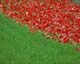 ʐ^fށ@MIXA@2/MIL41085.JPG