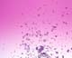 ʐ^fށ@MIXA@2/MIL32033.JPG