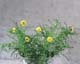 ʐ^fށ@MIXA@2/MIL30019.JPG