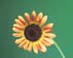 ʐ^fށ@MIXA@2/MIL30023.JPG