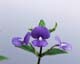ʐ^fށ@MIXA@2/MIL30059.JPG