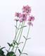 ʐ^fށ@MIXA@2/MIL30063.JPG