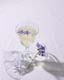 ʐ^fށ@MIXA@2/MIL30068.JPG