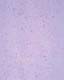ʐ^fށ@MIXA@2/MIL45027.JPG