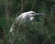 ʐ^fށ@MIXA@2/MIL44045.JPG