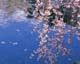 ʐ^fށ@MIXA@2/MIL55041.JPG