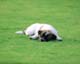 ʐ^fށ@MIXA@2/MIL56003.JPG