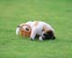 ʐ^fށ@MIXA@2/MIL56004.JPG