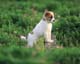 ʐ^fށ@MIXA@2/MIL56005.JPG
