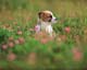 ʐ^fށ@MIXA@2/MIL56006.JPG