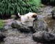 ʐ^fށ@MIXA@2/MIL56010.JPG