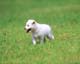 ʐ^fށ@MIXA@2/MIL56013.JPG