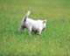 ʐ^fށ@MIXA@2/MIL56014.JPG