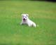 ʐ^fށ@MIXA@2/MIL56015.JPG