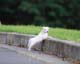 ʐ^fށ@MIXA@2/MIL56016.JPG