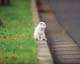 ʐ^fށ@MIXA@2/MIL56017.JPG