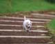 ʐ^fށ@MIXA@2/MIL56018.JPG