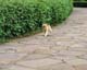 ʐ^fށ@MIXA@2/MIL56020.JPG