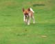 ʐ^fށ@MIXA@2/MIL56021.JPG
