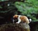 ʐ^fށ@MIXA@2/MIL56023.JPG