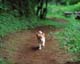 ʐ^fށ@MIXA@2/MIL56024.JPG