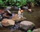 ʐ^fށ@MIXA@2/MIL56025.JPG