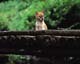 ʐ^fށ@MIXA@2/MIL56028.JPG