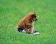 ʐ^fށ@MIXA@2/MIL56031.JPG