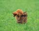 ʐ^fށ@MIXA@2/MIL56035.JPG