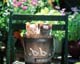 ʐ^fށ@MIXA@2/MIL56045.JPG