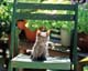 ʐ^fށ@MIXA@2/MIL56046.JPG
