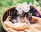 ʐ^fށ@MIXA@2/MIL56051.JPG