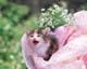 ʐ^fށ@MIXA@2/MIL56052.JPG