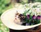 ʐ^fށ@MIXA@2/MIL56053.JPG