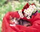 ʐ^fށ@MIXA@2/MIL56055.JPG