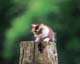 ʐ^fށ@MIXA@2/MIL56058.JPG
